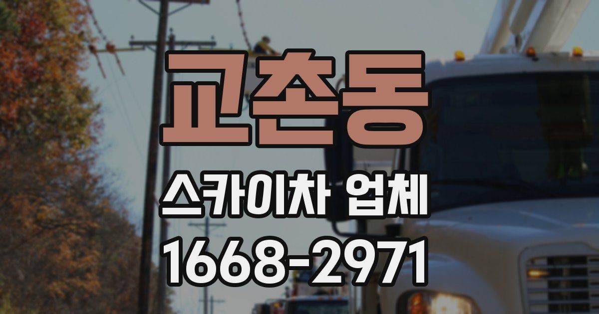 교촌동 스카이차 업체