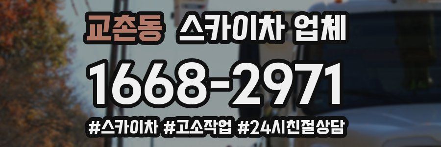 교촌동 스카이차 업체