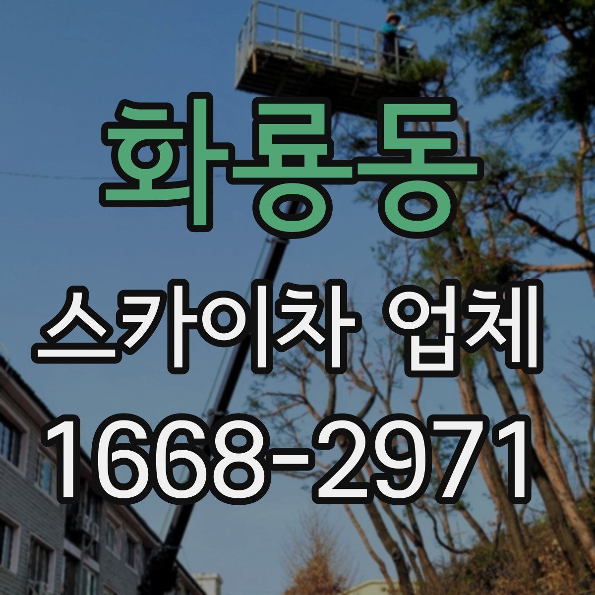 화룡동 스카이차 업체