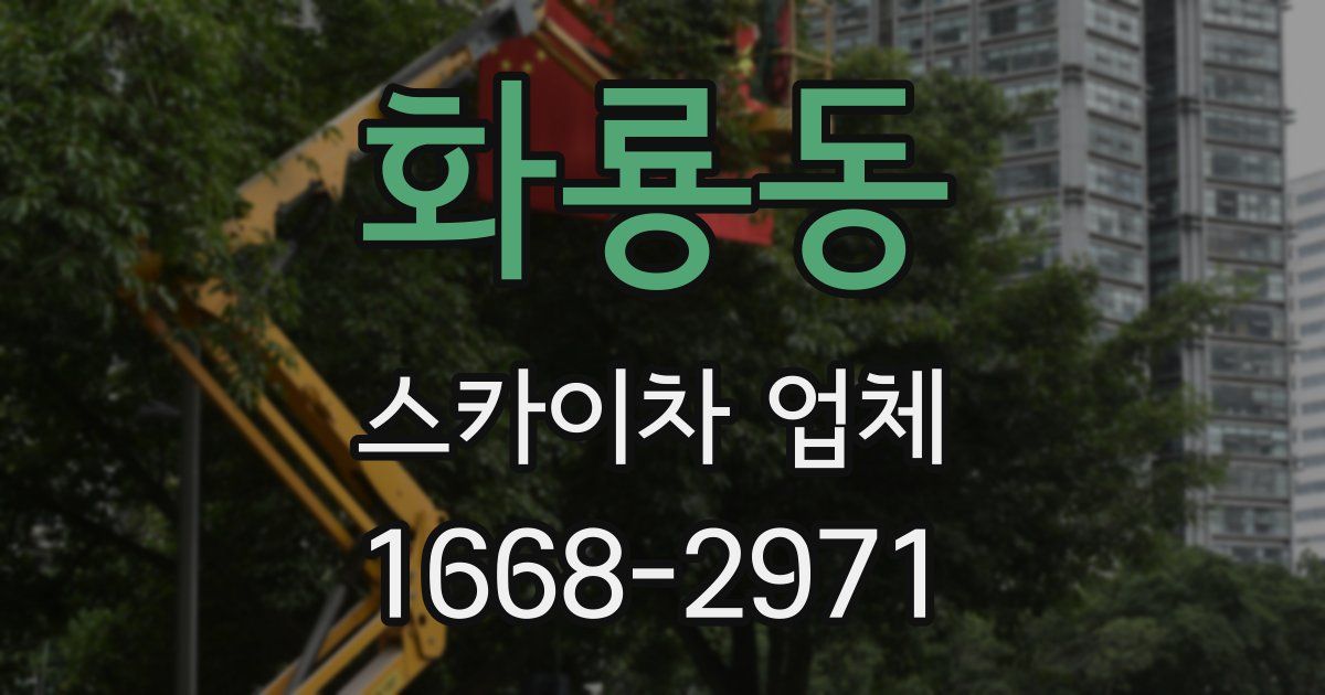 화룡동 스카이차 업체
