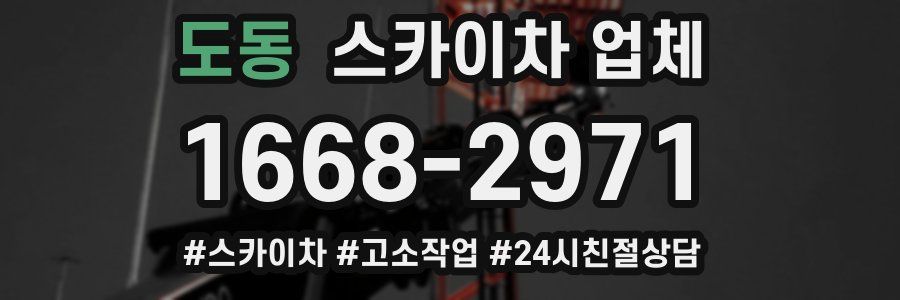 도동 스카이차 업체