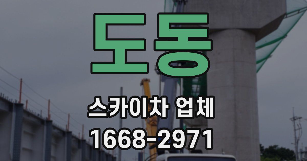 도동 스카이차 업체
