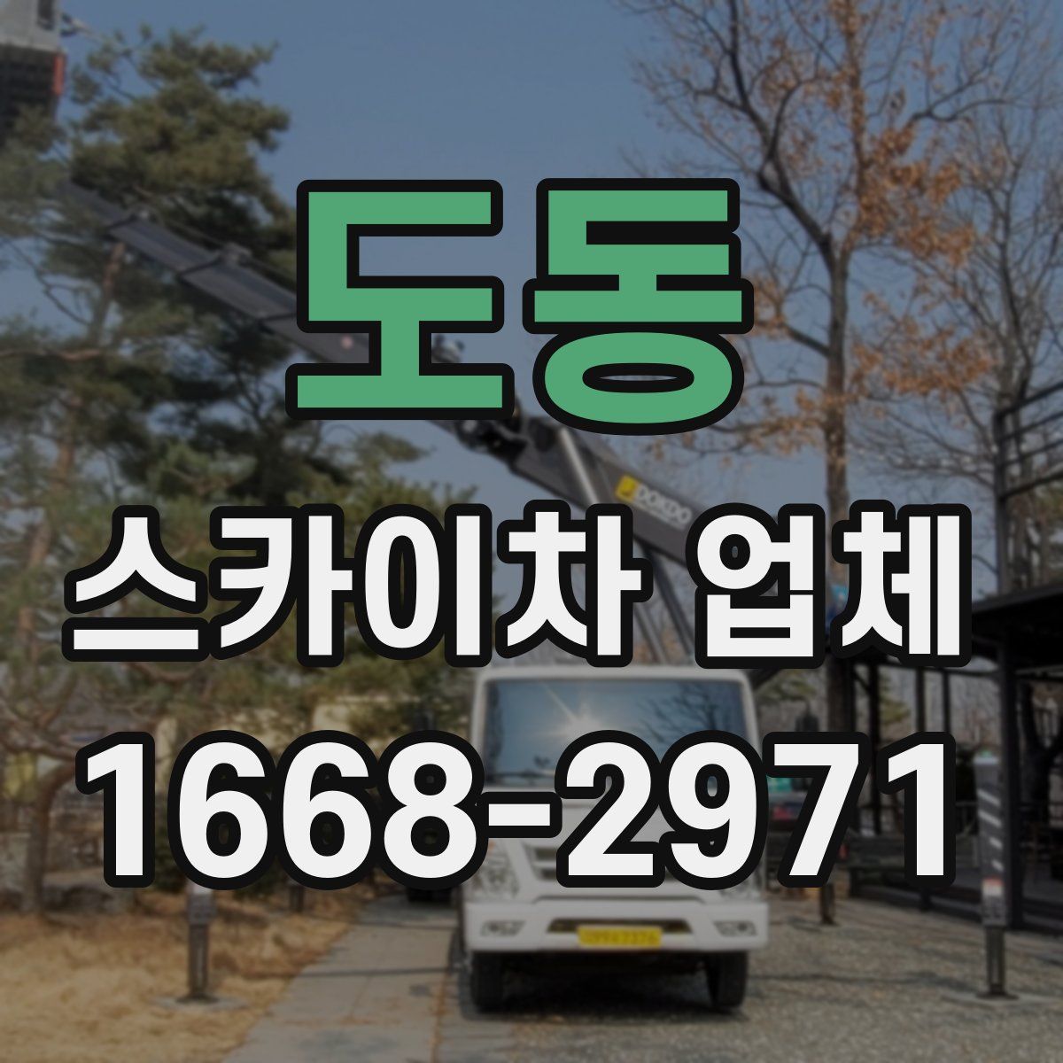 도동 스카이차 업체