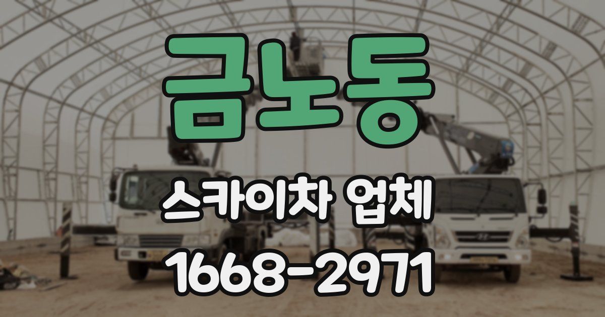 금노동 스카이차 업체