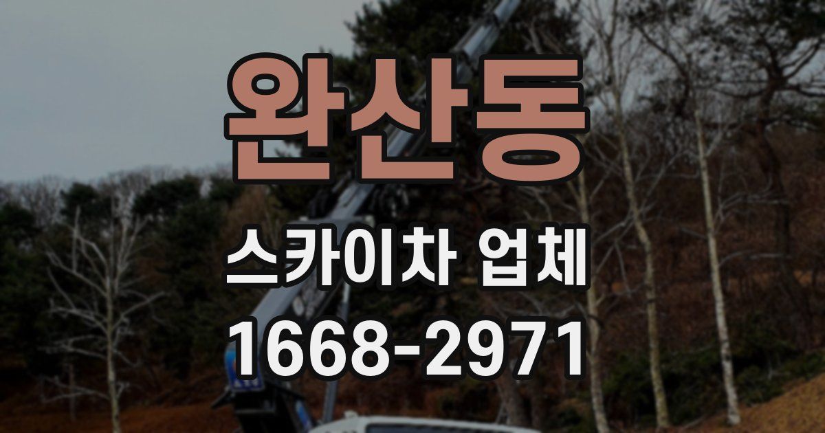 완산동 스카이차 업체