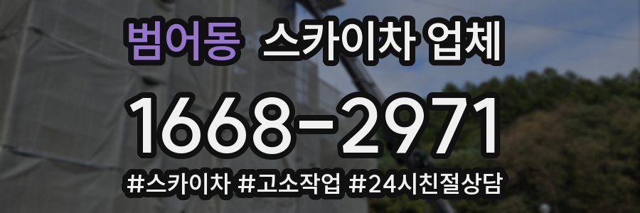 범어동 스카이차 업체