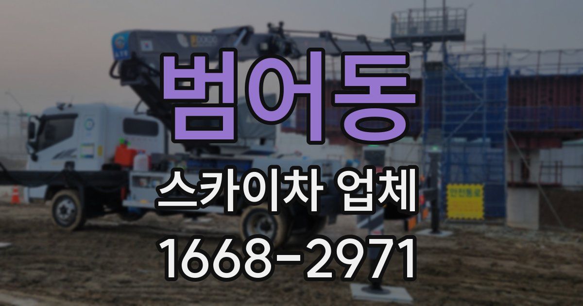 범어동 스카이차 업체