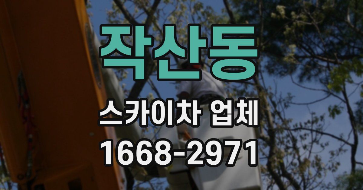 작산동 스카이차 업체