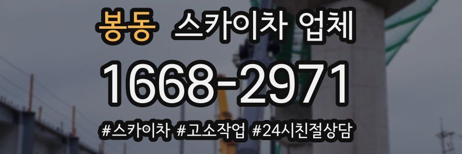봉동 스카이차 업체