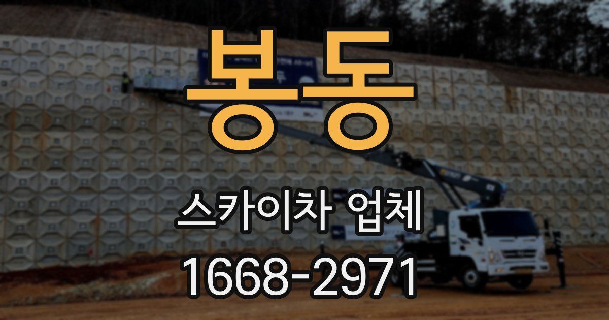 봉동 스카이차 업체