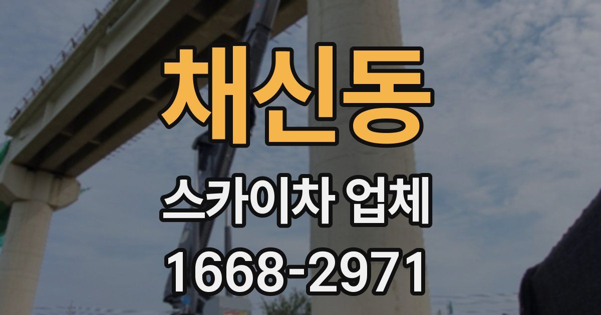 채신동 스카이차 업체
