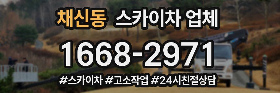 채신동 스카이차 업체