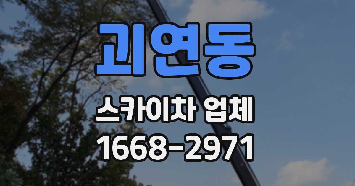 괴연동 스카이차 업체