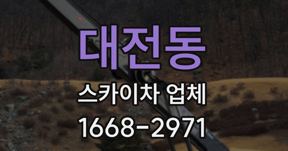 대전동 스카이차 업체