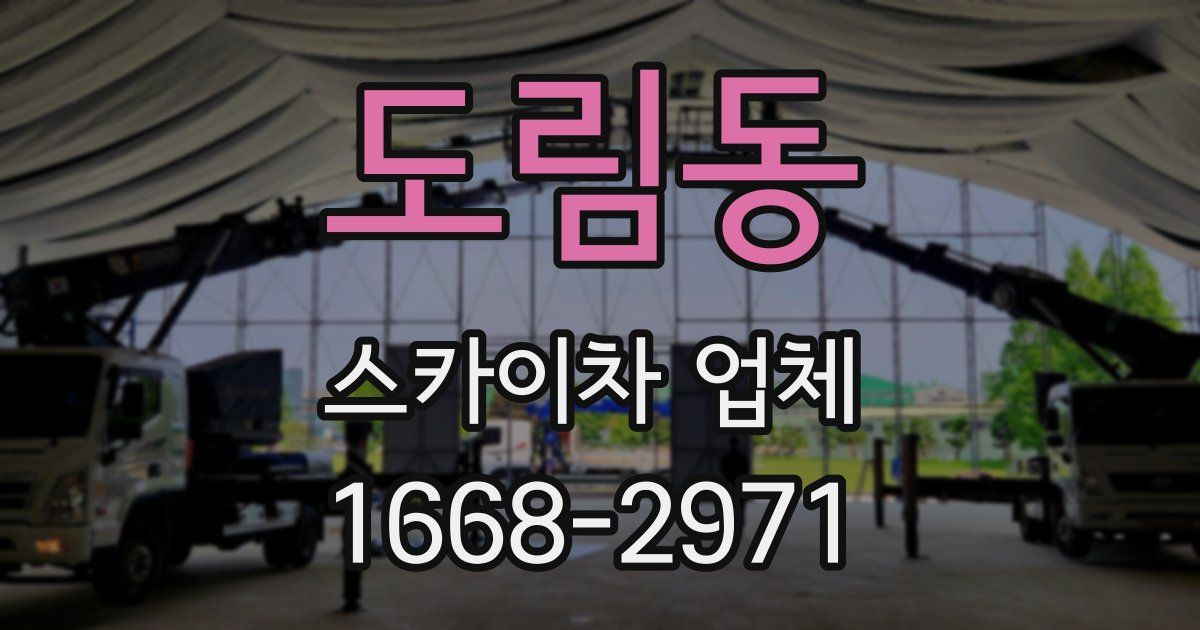 도림동 스카이차 업체