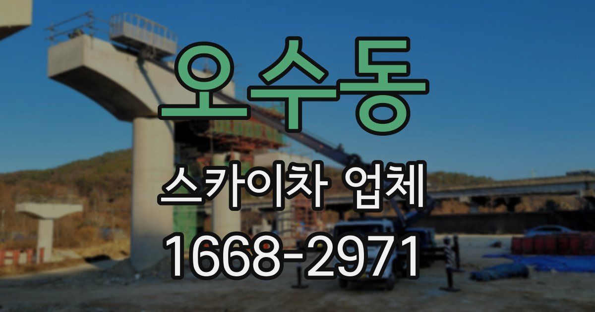 오수동 스카이차 업체