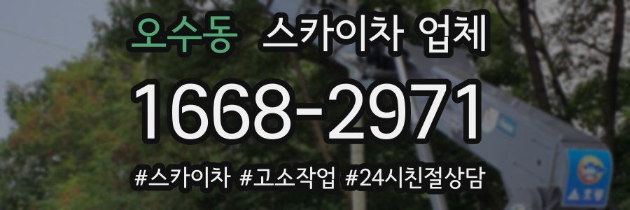 오수동 스카이차 업체
