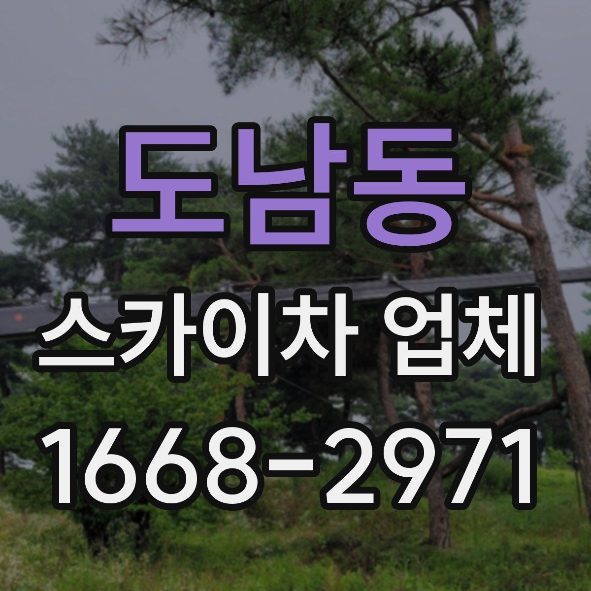 도남동 스카이차 업체 선택에 도움이 되는 비교 기준