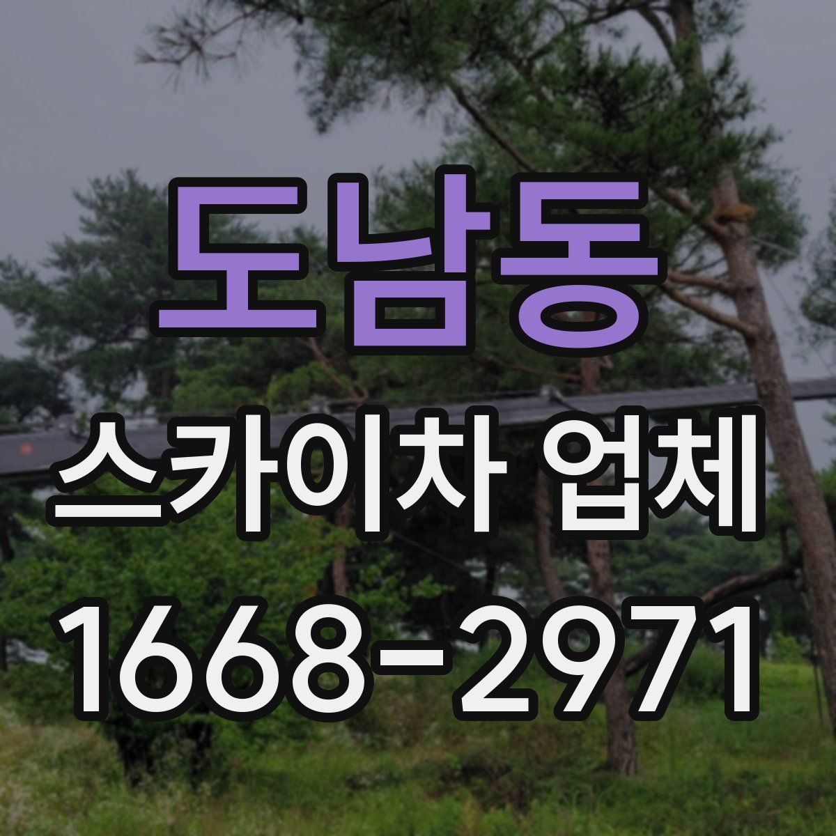 도남동 스카이차 업체