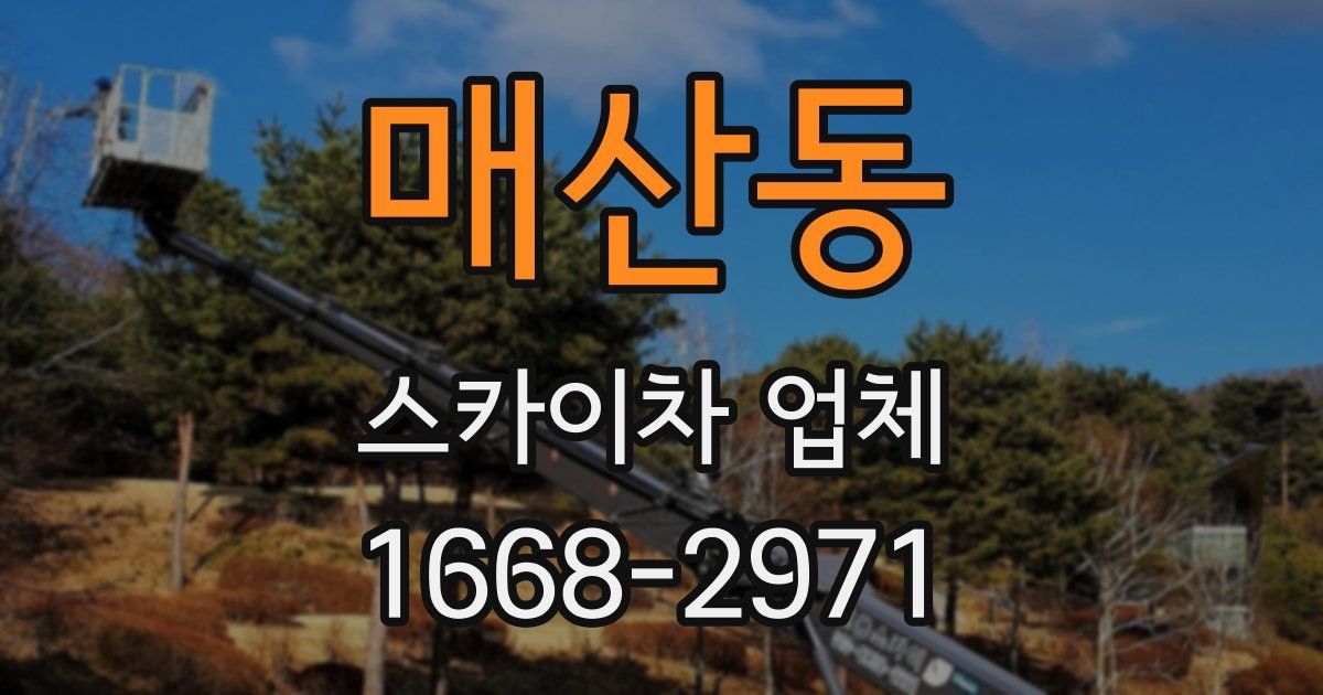 매산동 스카이차 업체