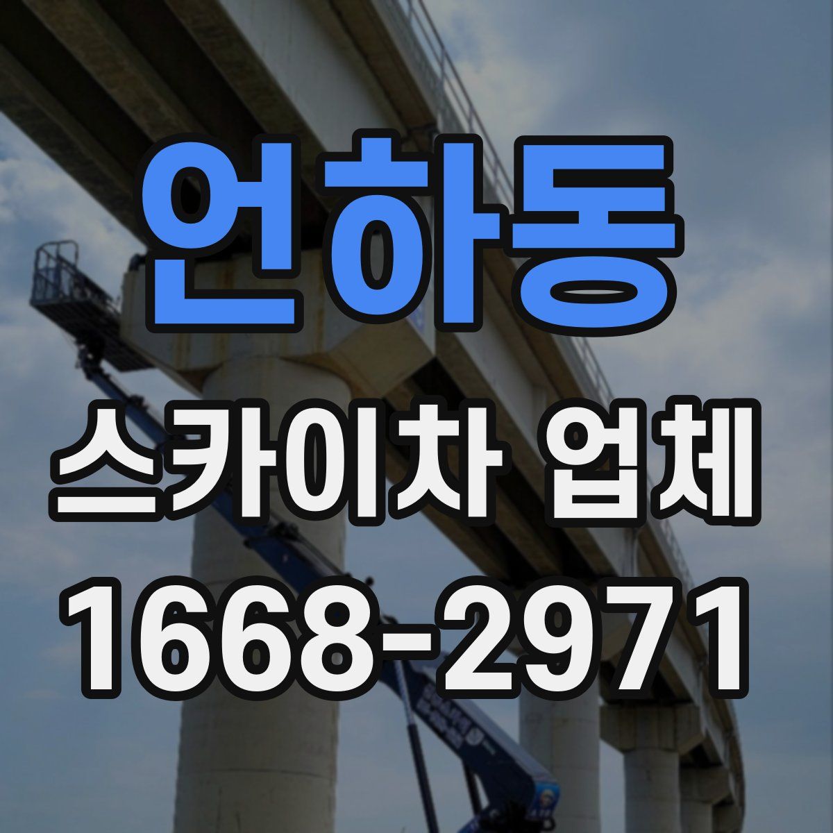 언하동 스카이차 업체