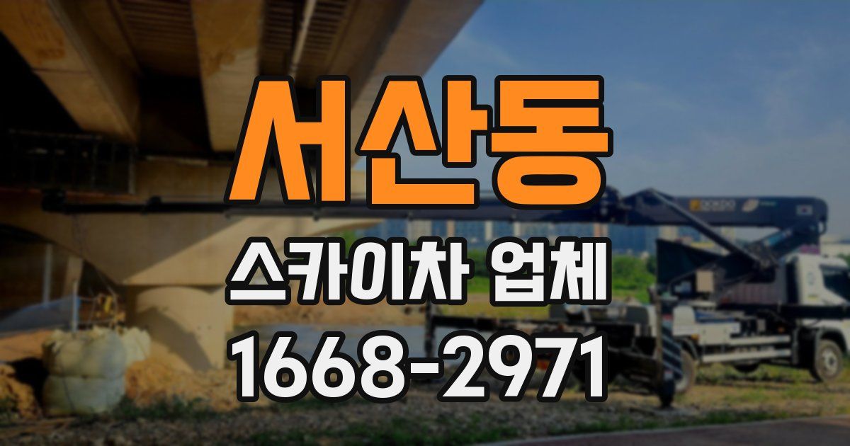 서산동 스카이차 업체