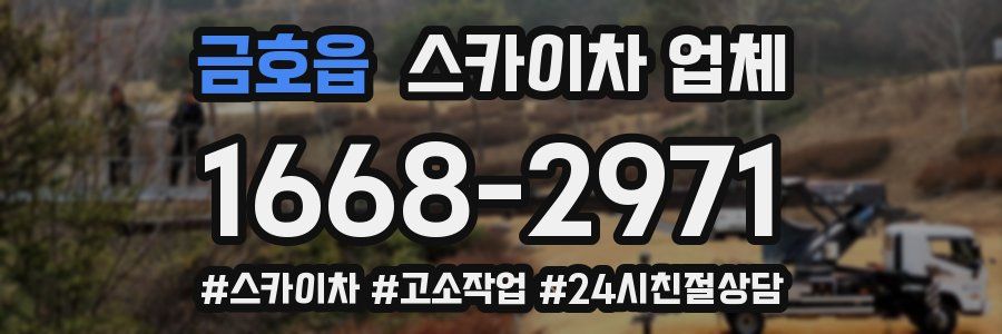 금호읍 스카이차 업체