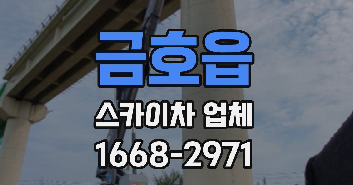 금호읍 스카이차 업체