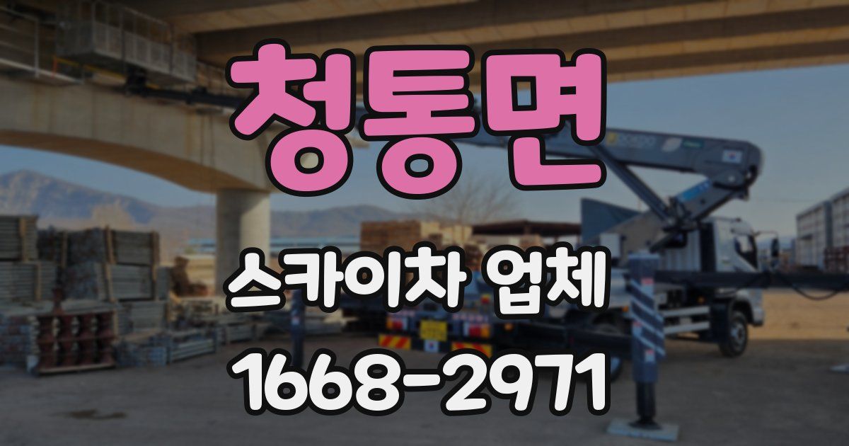 청통면 스카이차 업체