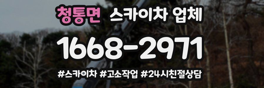청통면 스카이차 업체