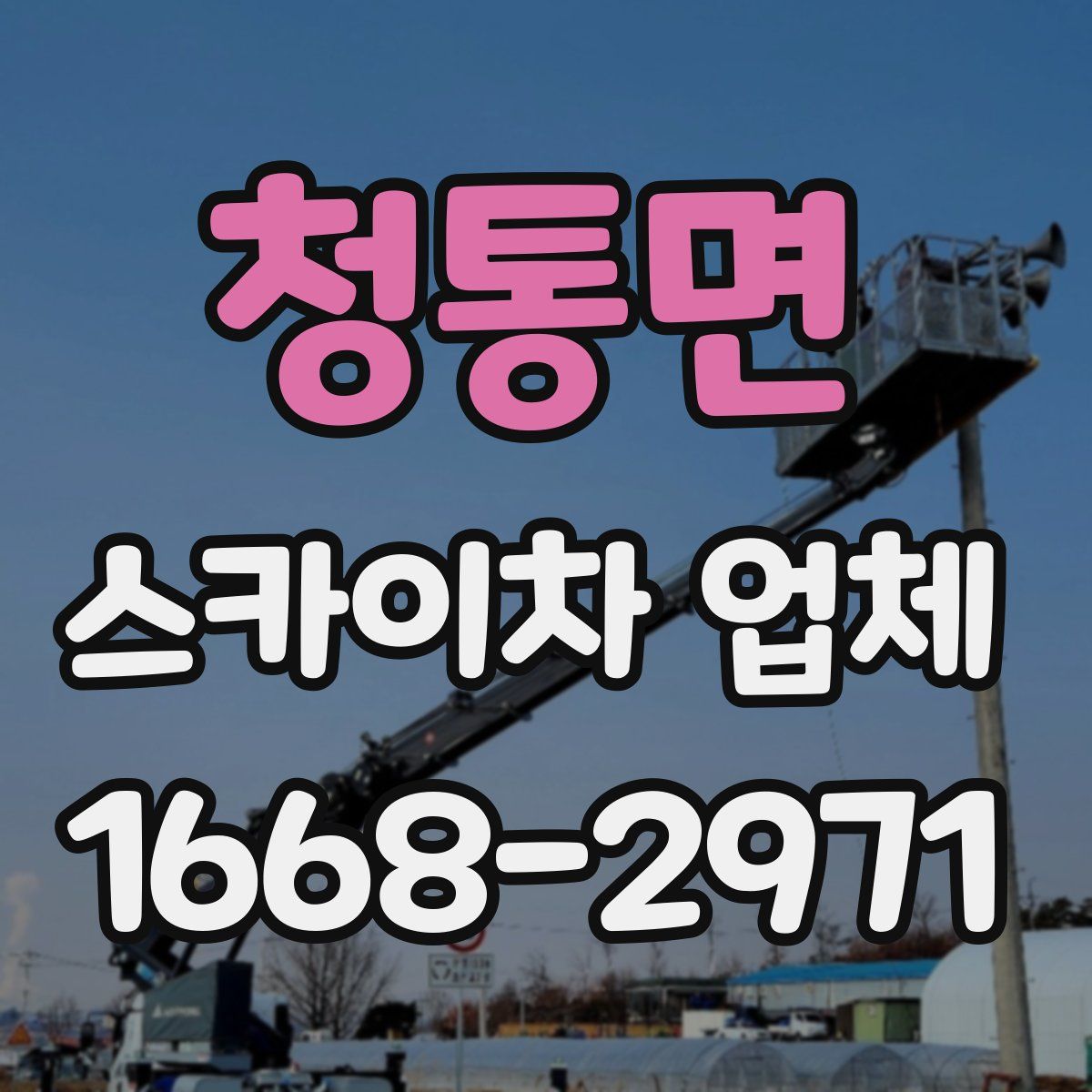 청통면 스카이차 업체