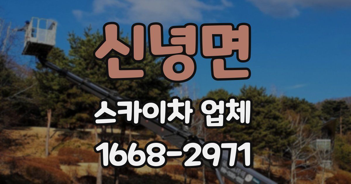 신녕면 스카이차 업체