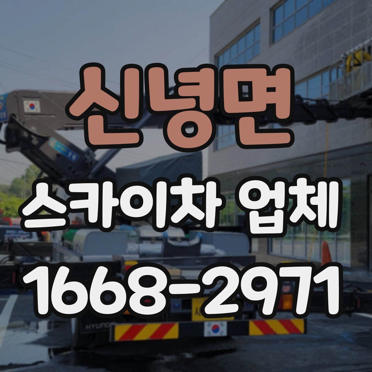 신녕면 스카이차 업체