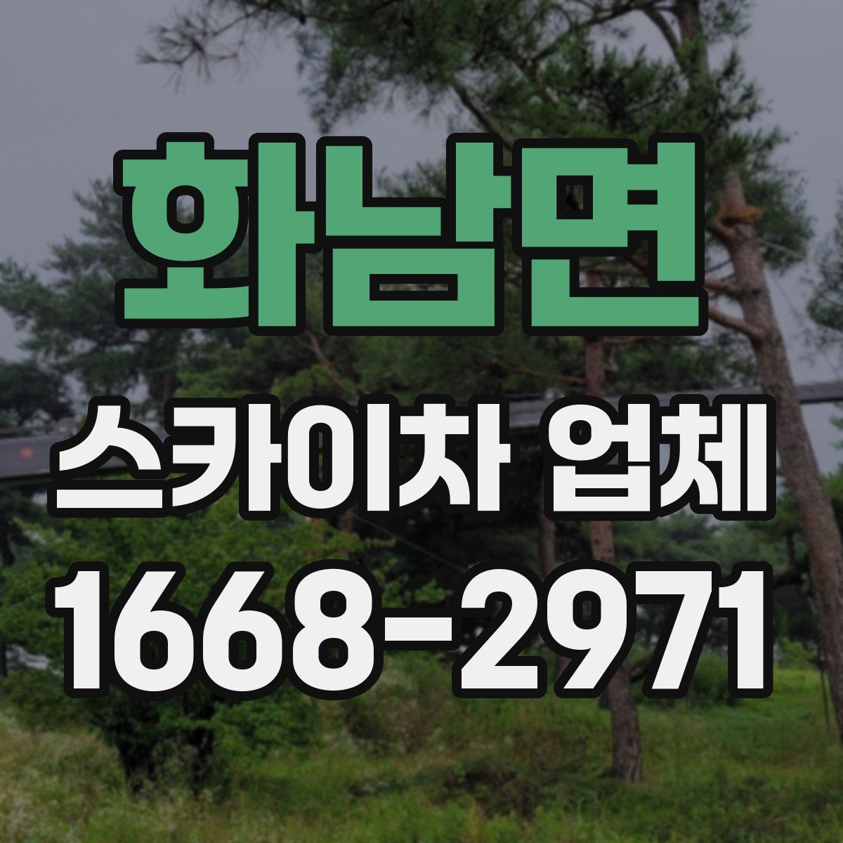 화남면 스카이차 업체