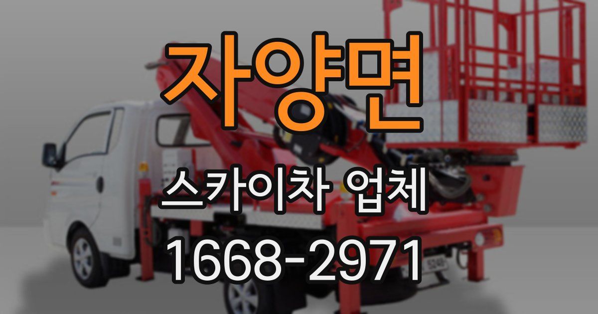 자양면 스카이차 업체