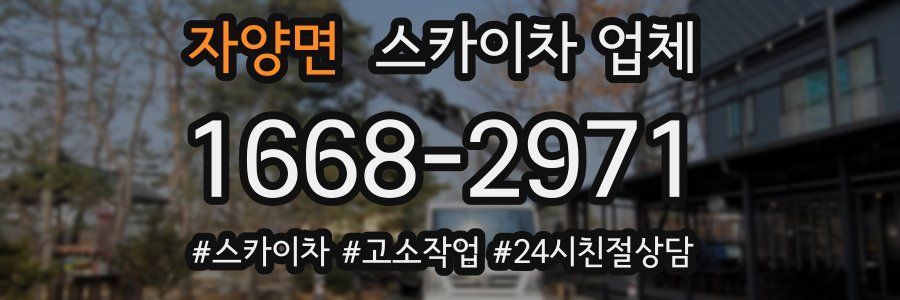 자양면 스카이차 업체