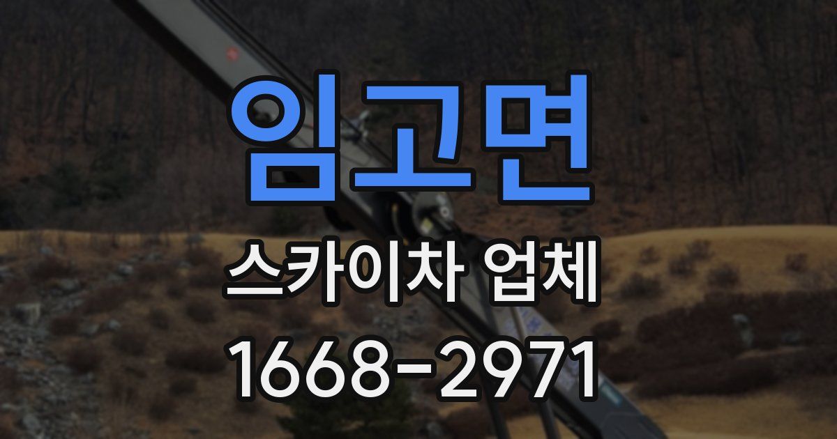 임고면 스카이차 업체