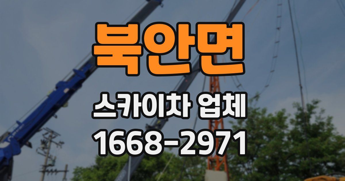 북안면 스카이차 업체