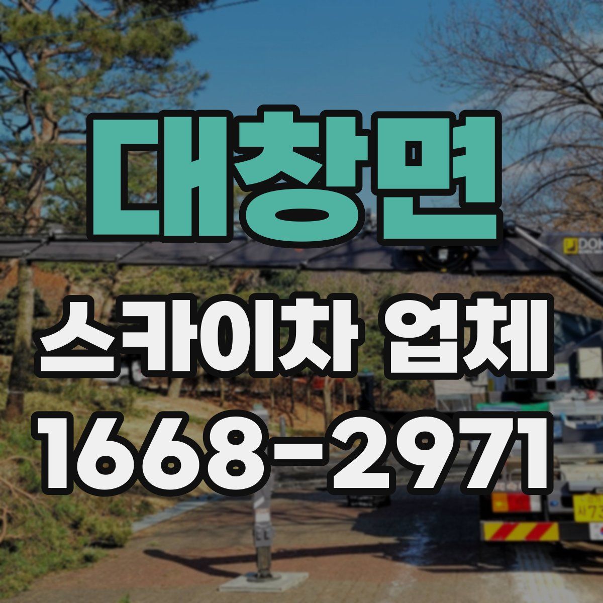대창면 스카이차 업체