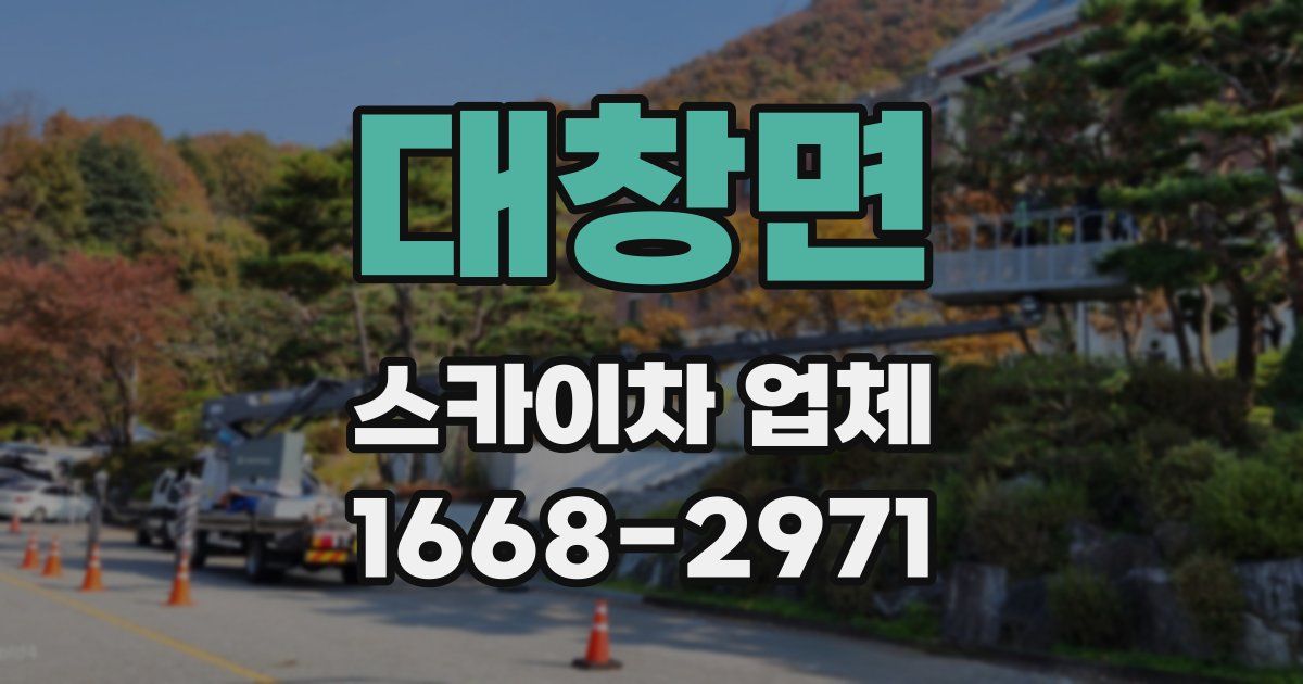 대창면 스카이차 업체