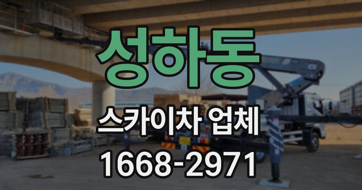 성하동 스카이차 업체