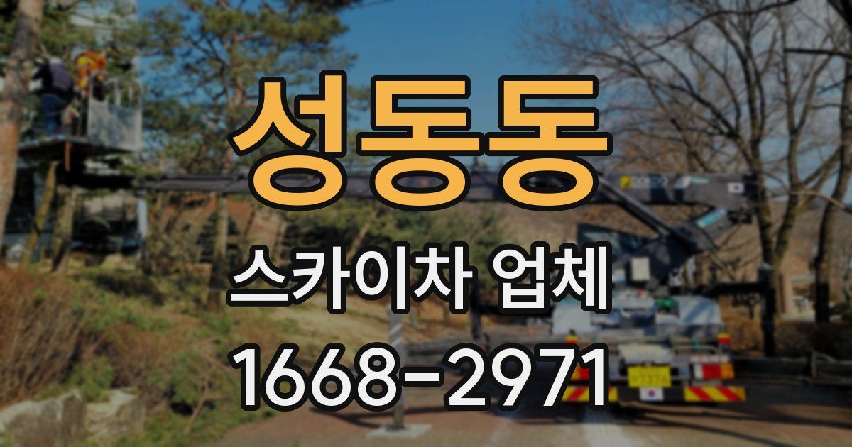 성동동 스카이차 업체