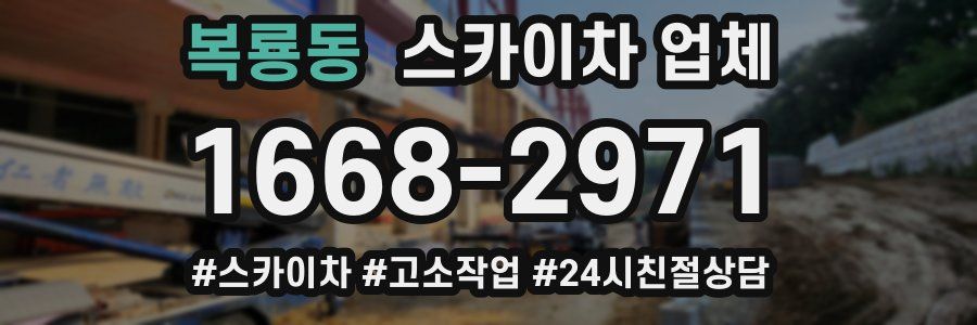 복룡동 스카이차 업체