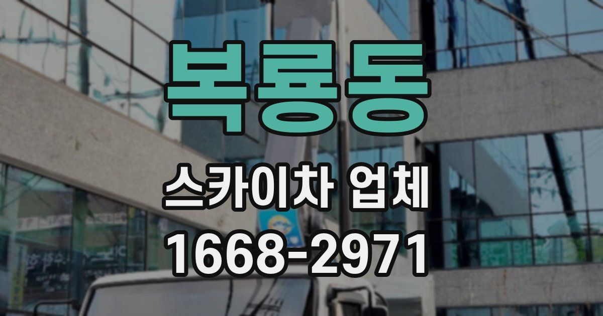 복룡동 스카이차 업체