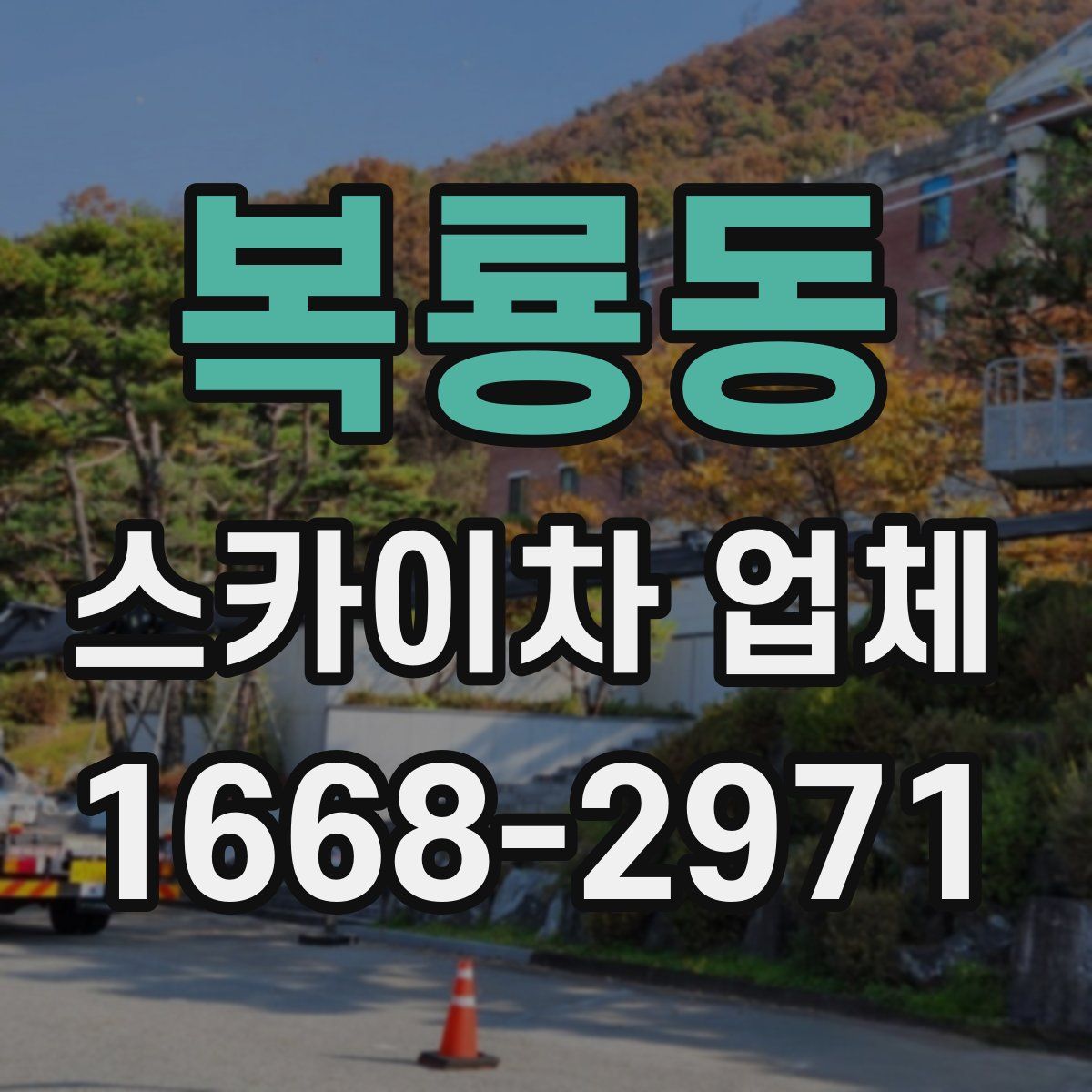 복룡동 스카이차 업체