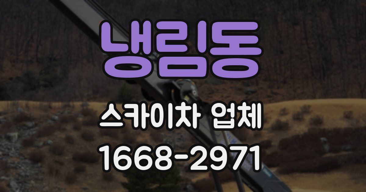 냉림동 스카이차 업체