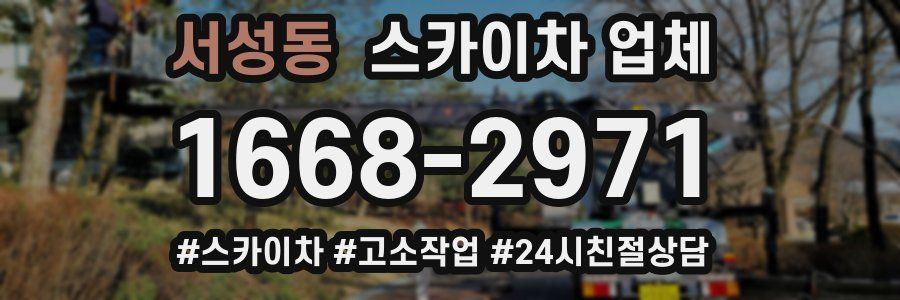 서성동 스카이차 업체