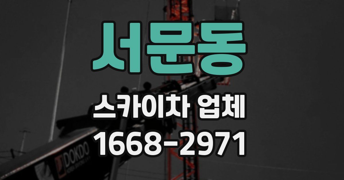 서문동 스카이차 업체