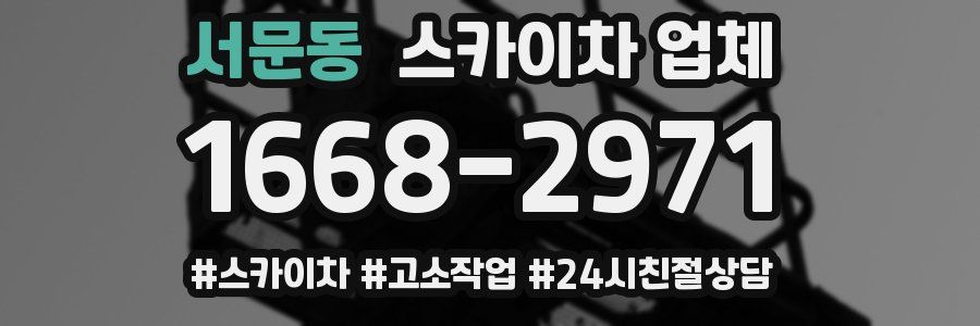 서문동 스카이차 업체