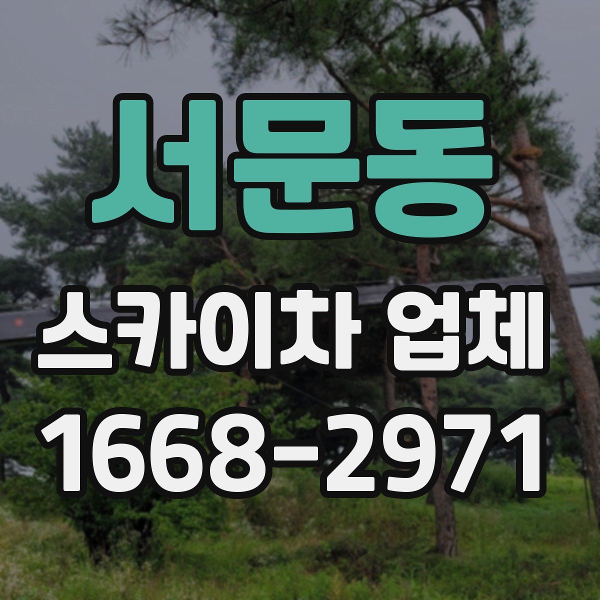 서문동 스카이차 업체